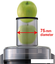 Соковыжималка Panasonic MJ-DJ01STN