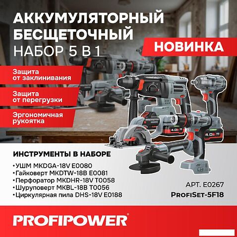 Profipower ProfiSet-5F18 E0267 (болгарка, гайковерт, перфоратор, шуруповерт, циркулярка, 3 АКБ, кейс)