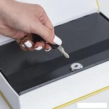 Сейф-книга BRAUBERG 12 стульев