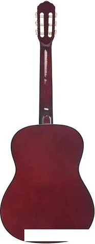 Акустическая гитара Terris TC-3901A NA