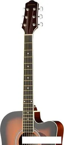 Акустическая гитара Naranda DG120CBS