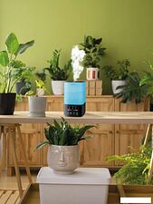 Увлажнитель воздуха Neoclima Vision LED 2.5L black