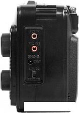 Радиоприемник Ritmix RPR-171