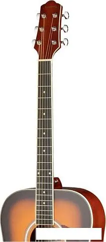 Акустическая гитара Naranda DG220VS