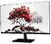 Монитор RDW Computers RDW 2701K