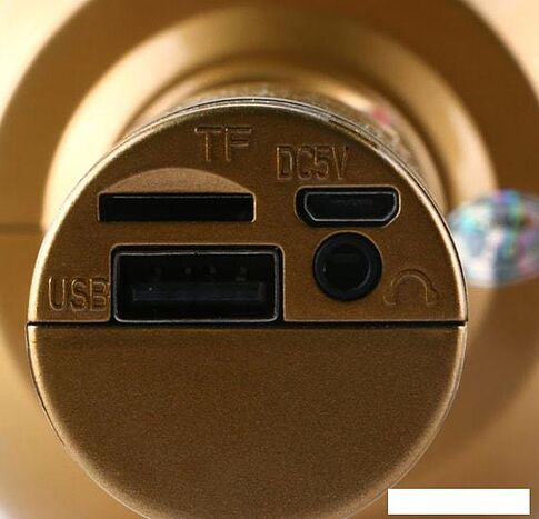 Микрофон Wster WS-1816 (золотистый)