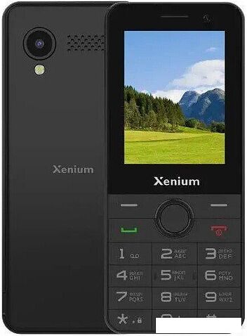Кнопочный телефон Xenium X900 (черный)