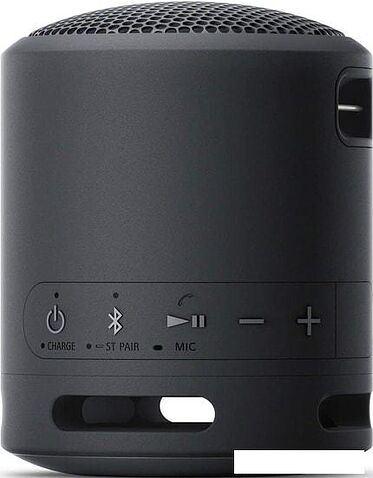 Беспроводная колонка Sony SRS-XB13 (черный)