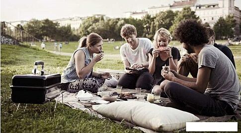 Гриль Weber Go-Anywhere GA-1131