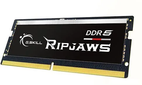 Оперативная память G.Skill Ripjaws 16ГБ DDR5 SODIMM 5600МГц F5-5600S4040A16GX1-RS