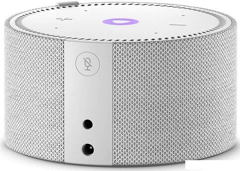 Умная колонка Яндекс Станция Мини 2 с часами (серый)