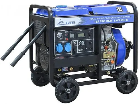Дизельный генератор ТСС PRO DGW 3.0/250E-R