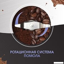 Электрическая кофемолка Zigmund & Shtain ZCG-01 Электрическая кофемолка Zigmund & Shtain ZCG-01