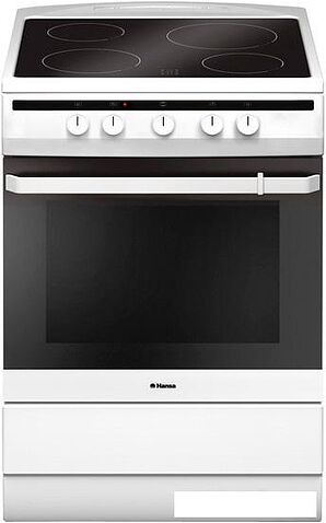 Кухонная плита Hansa FCCW63000