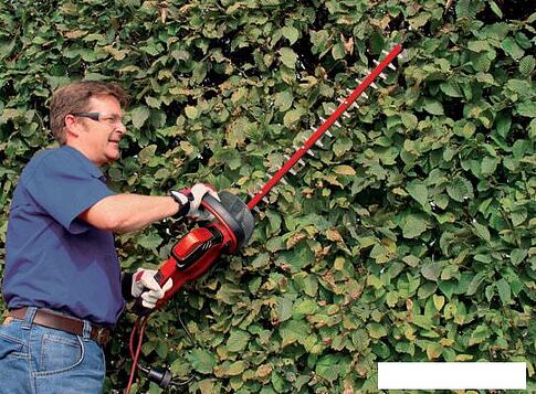 Кусторез Einhell GE-EH 7067