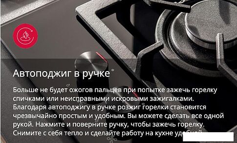 Варочная панель Hansa BHGS630100