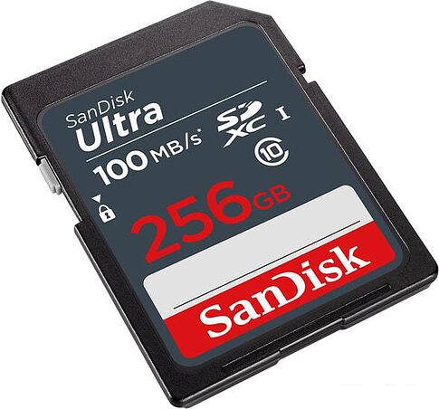 Карта памяти SanDisk Ultra SDXC SDSDUNR-256G-GN3IN 256GB