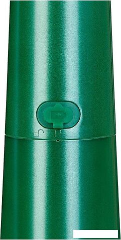 Ирригатор  Revyline RL 610 (зеленый)