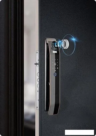 Дверной замок Roome Tuya 3D face intercom Lock 3D face-1 (черный)