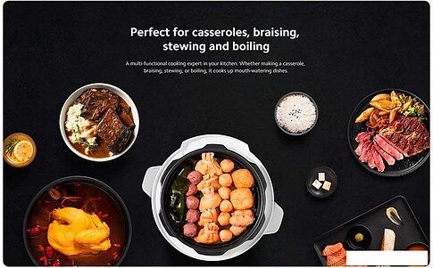 Мультиварка-скороварка Xiaomi Electric Pressure Cooker 4.8L MYL02-1 (евровилка)