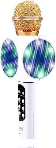 Микрофон Wster WS-1816 (белый)