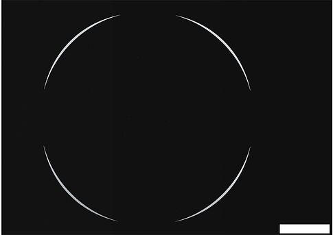 Варочная панель Nordfrost (Nord) EM 6049 B