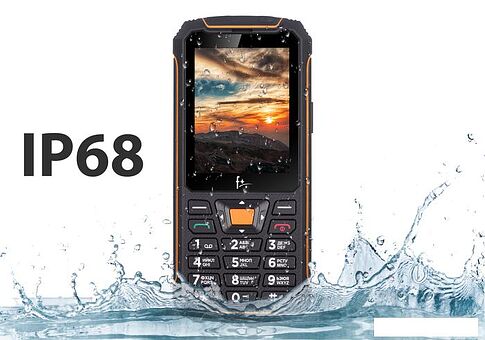 Кнопочный телефон F+ R280 (черный/оранжевый)