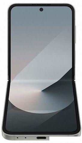 Смартфон Samsung Galaxy Z Flip6 SM-F741B 12GB/256GB (серый)