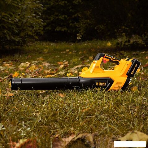 Ручная воздуходувка Denzel RB180-36 59610 (с 2-мя АКБ)