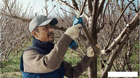 Секатор Bosch Pro Pruner Professional 06019K1021 (с 2-мя АКБ)