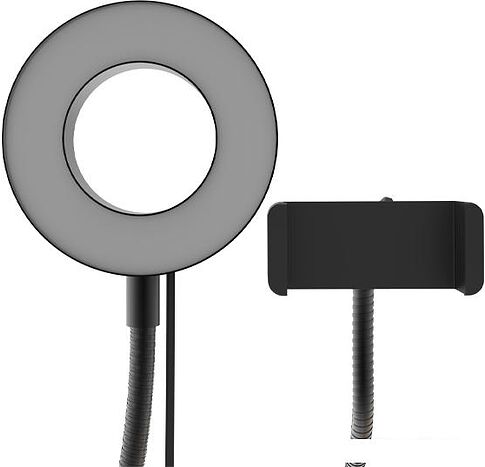 Кольцевая лампа Ritmix RRL-091