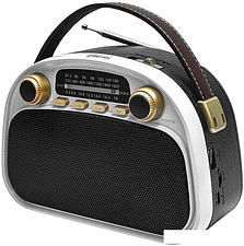 Радиоприемник Ritmix RPR-040 (белый)
