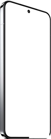 Телефон Xiaomi 15 12GB/256GB международная версия (серебристый)