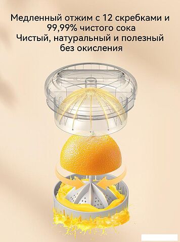 Соковыжималка Deerma Daily DEM-LC01