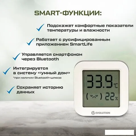 Термогигрометр Evolution HTB1
