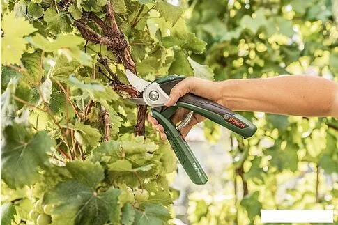 Секатор Bosch EasyPrune