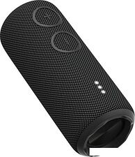 Беспроводная колонка Aiwa PAS-H200 (черный)