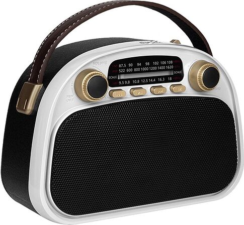 Радиоприемник Ritmix RPR-040 (белый)