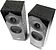 Акустика Dialog Progressive AP-250 (черный)