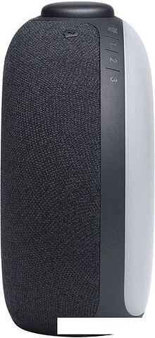 Часы JBL Horizon 2 FM (черный)