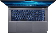 Игровой ноутбук Thunderobot 911 Plus SD JT009800KRU