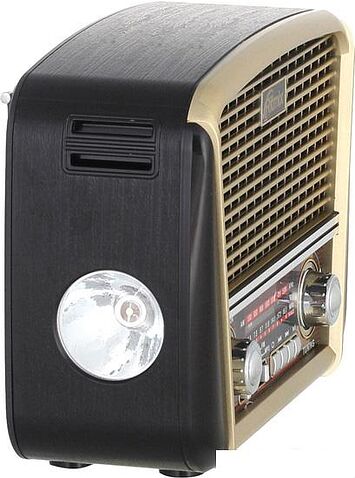 Радиоприемник Ritmix RPR-050 (золотой)