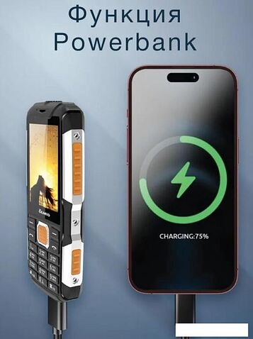 Кнопочный телефон Olmio X14 (черный/оранжевый)