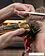 Машинка для стрижки волос Wahl Magic Clip Cordless 5 08148-716