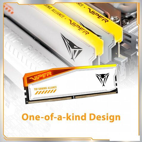 Оперативная память Patriot Viper Elite 5 RGB TUF Gaming Alliance 2x24ГБ DDR5 6600 МГц PVER548G66C34KT