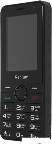 Кнопочный телефон Xenium X900 (черный)