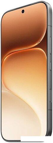 Телефон HONOR 600 Pro Dual SIM 12GB/512GB международная версия (черный)