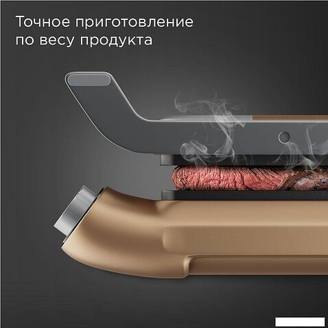 Электрогриль Redmond (Редмонд) SteakMaster GM303 (бронзовый)