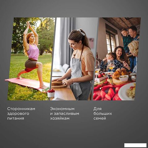 Сушилка для овощей и фруктов Redmond (Редмонд) FD1104