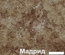 Шкаф напольный Кортекс-мебель Корнелия Ретро НШ50р3ш (дуб сонома-мадрид) Шкаф напольный Кортекс-мебель Корнелия Ретро НШ50р3ш (дуб сонома-мадрид)